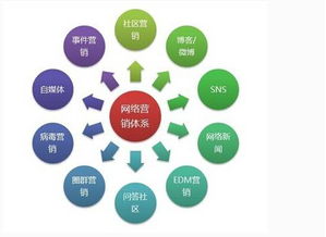 領創(chuàng)互聯(lián) 您身邊的互聯(lián)網建設與營銷專家，助力薯類銷售創(chuàng)新升級